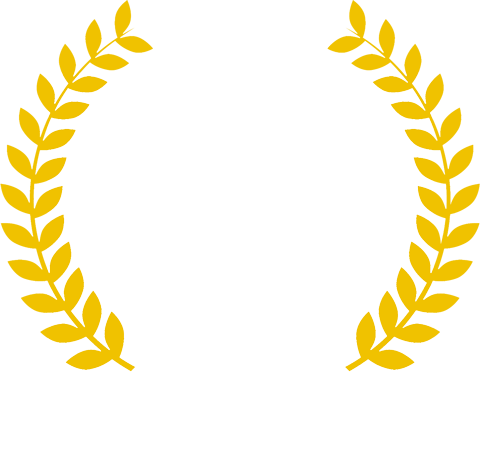 Image of certification from DataIQ Awards 2021 Winner.
